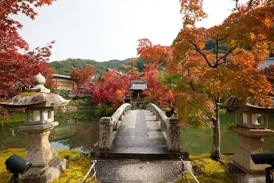단풍으로 유명한 교토의 에이칸도(永観堂)