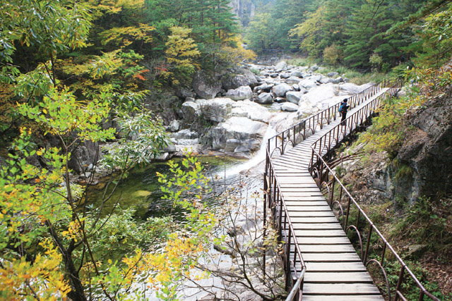 평창 가볼만한곳