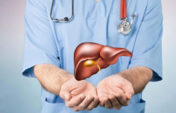 감마지티피-사진3