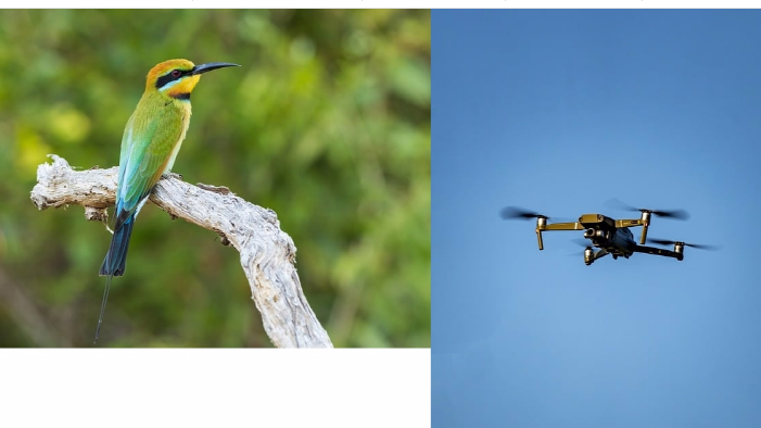 jpg파일 합치기 방법