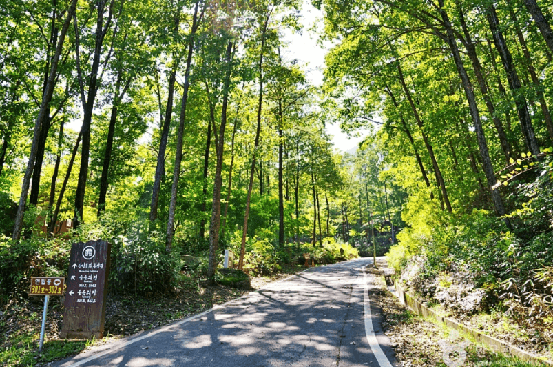 국립 대야산 자연휴양림