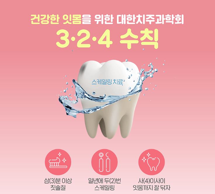 건강한 잇몸