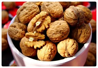 호두 효능 섭취량 칼로리_14