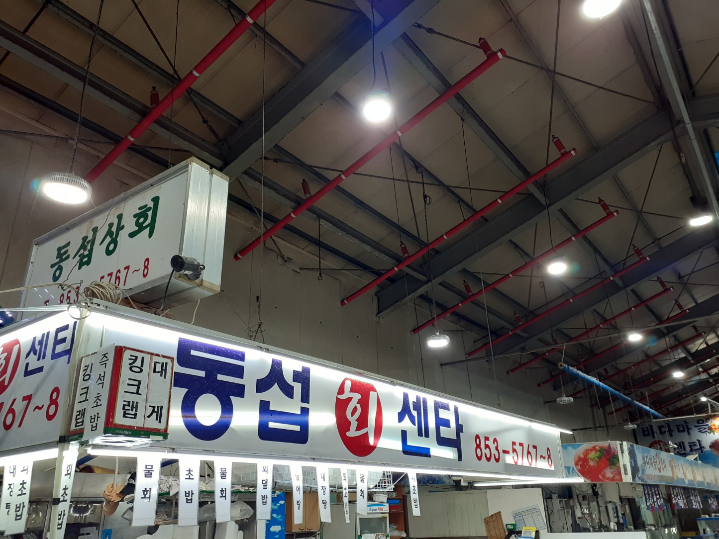 동섭회센타
