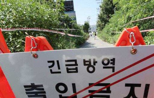 구제역 위기경보 ‘심각’ 단계… 전남 전역 확산에 방역 총력전