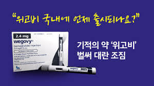 위고비 비만 치료제 관련주