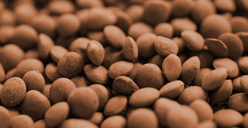 여러 가지 렌틸콩 사진 - 95