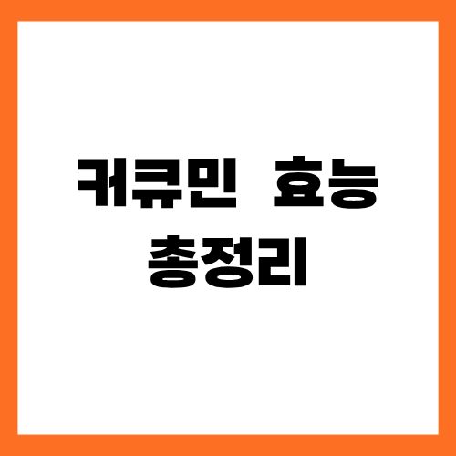 커큐민 효능 총정리