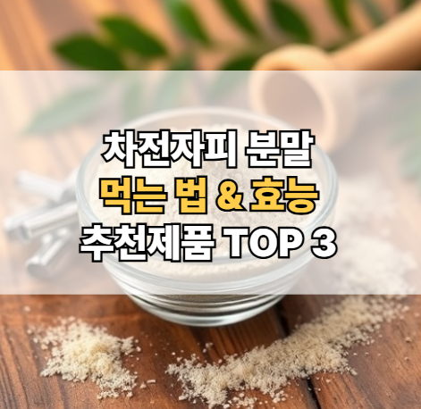 차전자피-분말-먹는-법-효능-추천