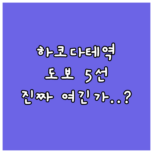 하코다테역 도보 이동 가능한 인기 호..