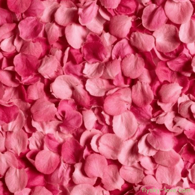 로즈, 로즈 오일 (Rose Oil)