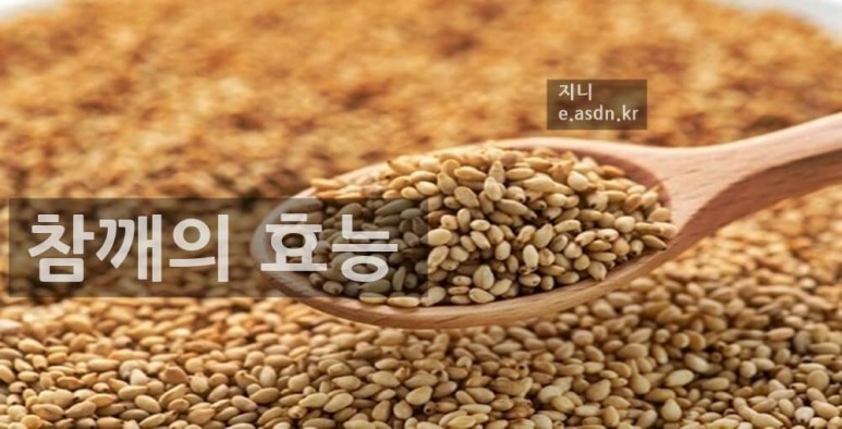 참깨 효능 13가지와 부작용 총정리