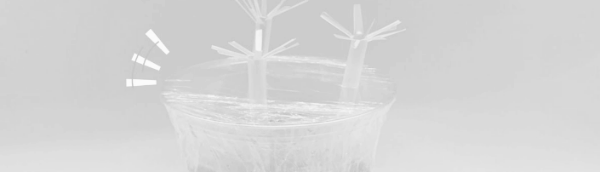 초파리 트랩: 물리적