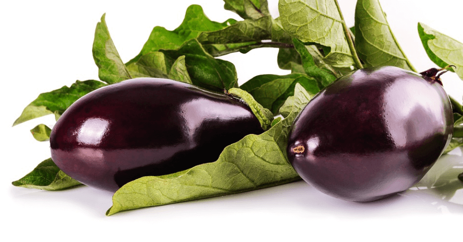 가지 두 개가 놓여 있다