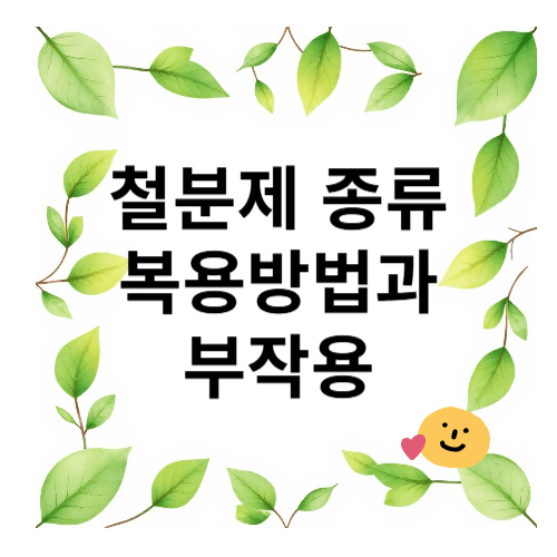 철분제 종류 복용방법과 부작용