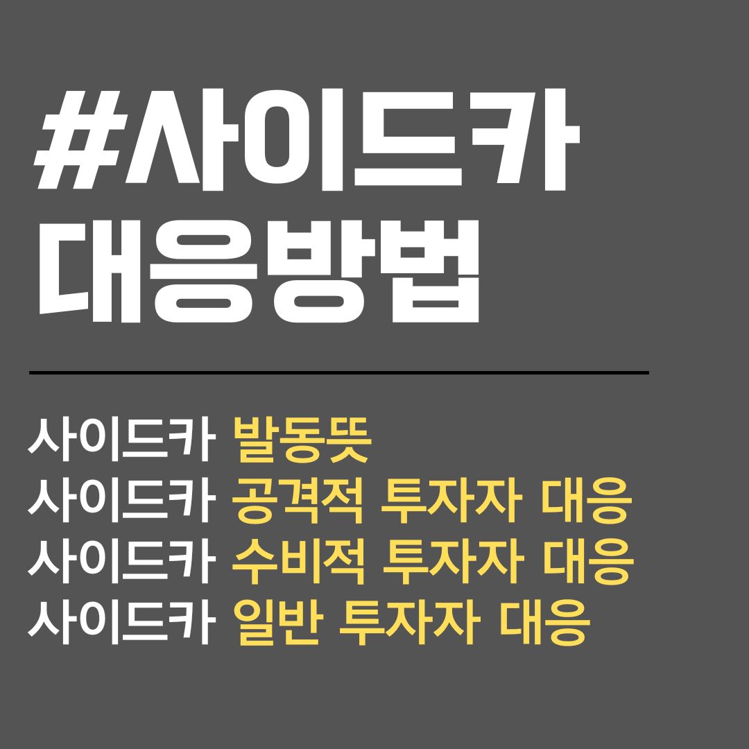 20세기 자본주의 안전장치 사이드카 발동뜻 대응방법