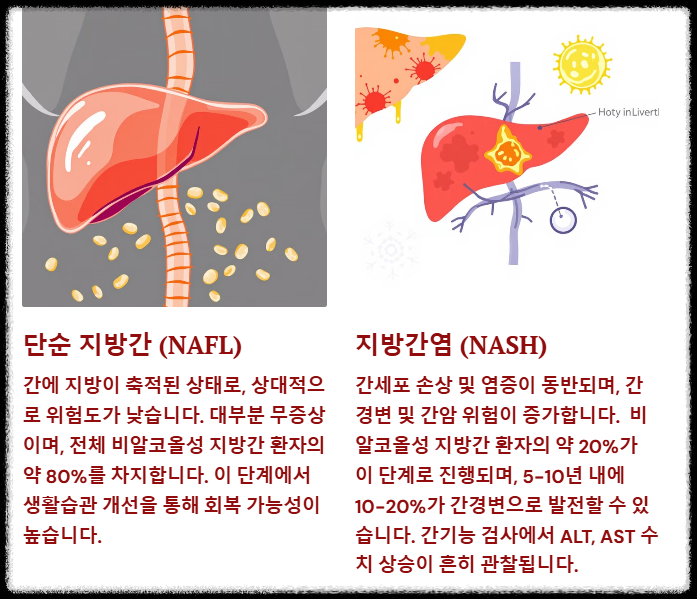 단순 지방간과 지방간염