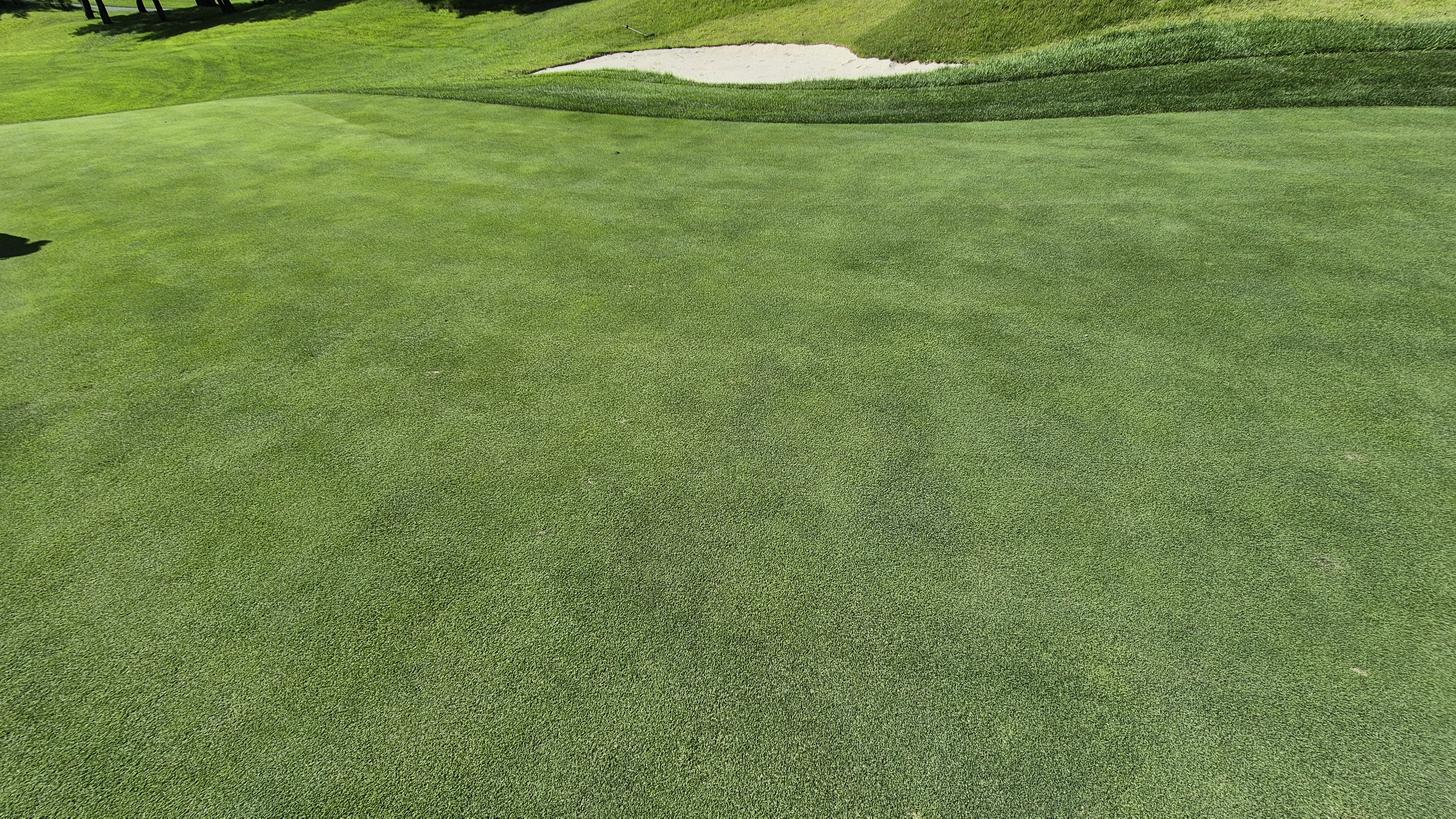 SG 아름다운cc 라운드 후기