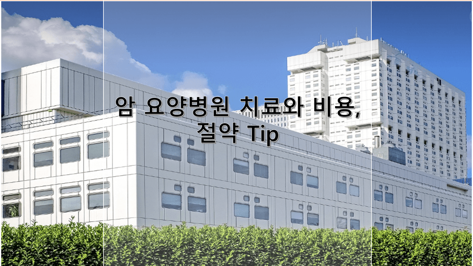 암 요양병원 치료와 비용, 절약 Tip