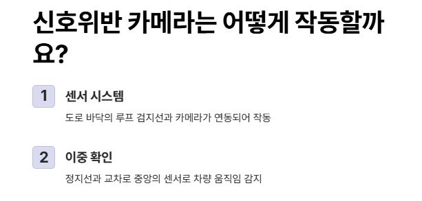 신호위반 카메라 작동원리