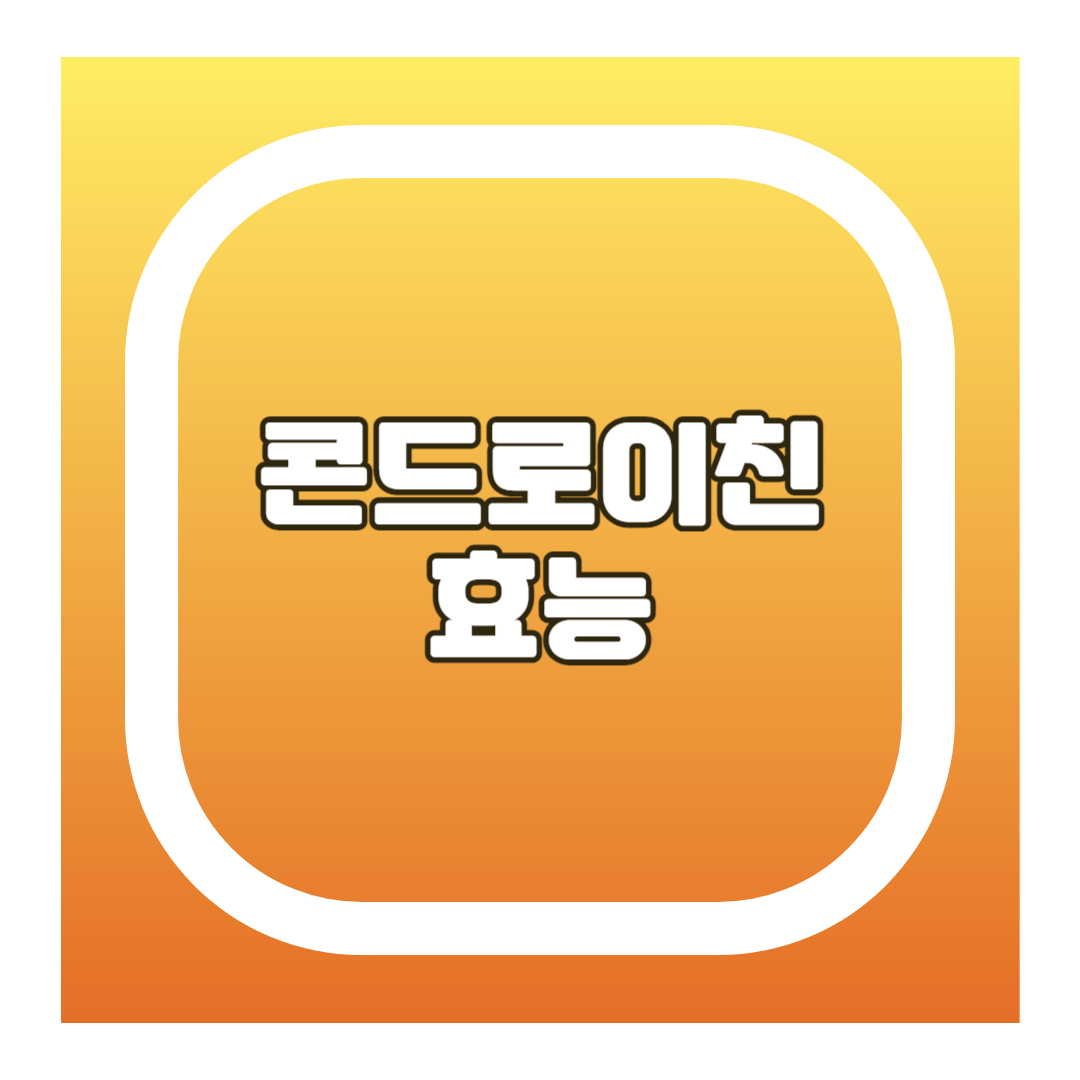콘드로이친