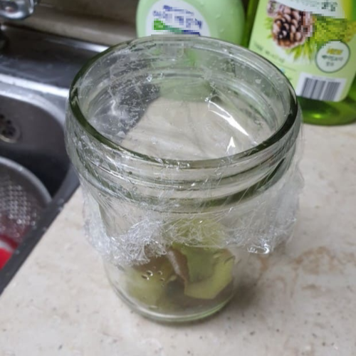 초파리 없애는 방법 트랩 만들기 효과