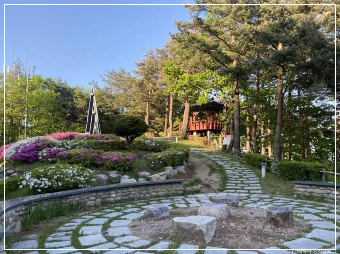 태백 가볼만한곳 베스트10 삼수령