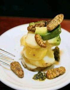 번데기-샐러드-벌레-먹는