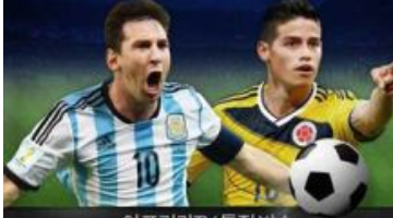 잉글랜드스위스네덜란드튀르키예