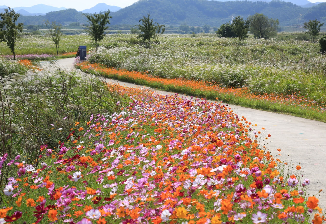 밀양 초동연가길