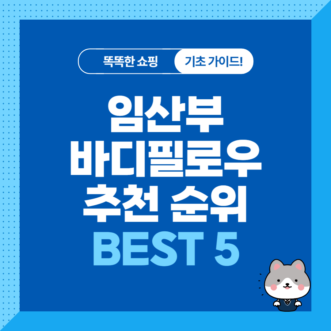 임산부 바디필로우 추천 순위 비교