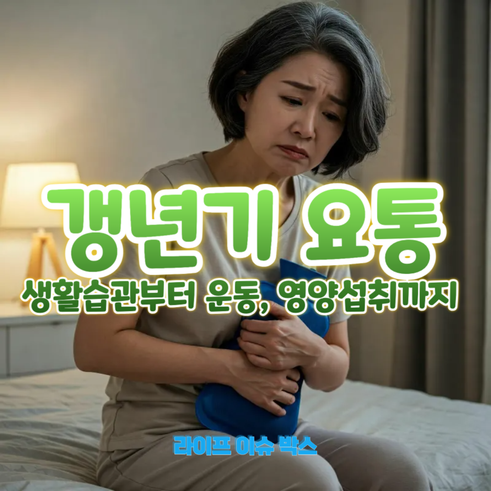갱년기 요통