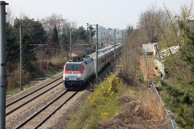 2025 추석 KTX·SRT 예매 일정 총정리 | 기차표 예약 꿀팁과 취소표 공략법