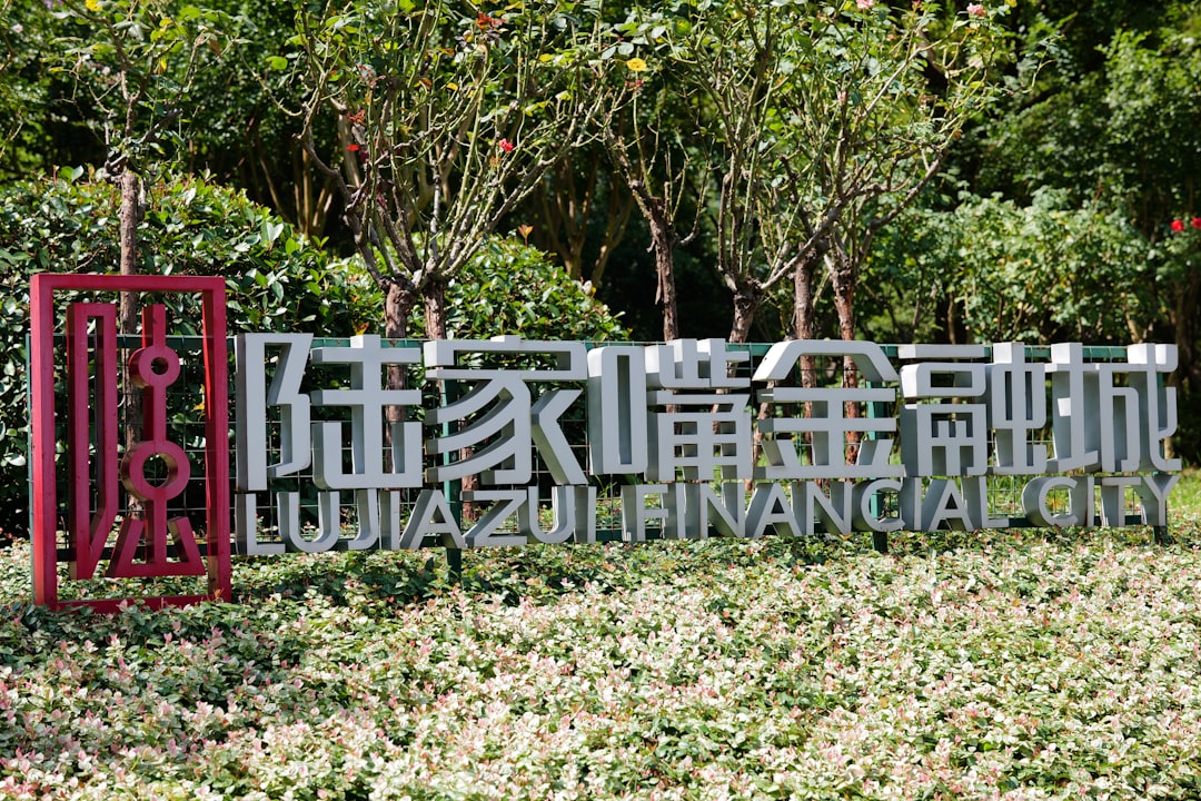 Digital Yuan