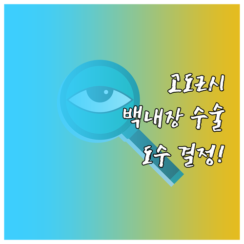 고도근시 백내장 수술 후 시력 만족도..