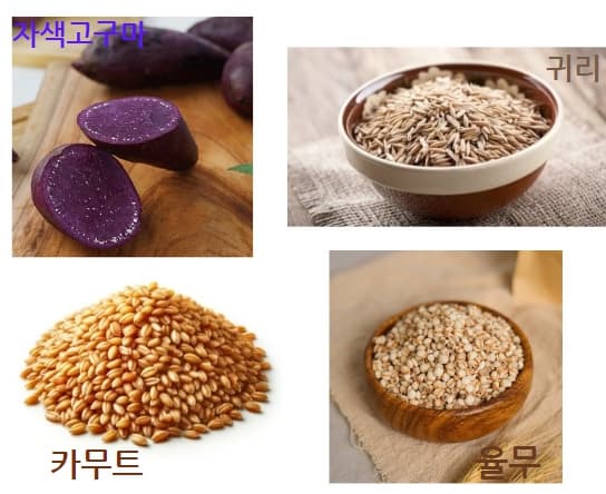 착한 탄수화물-자색고구마,귀리,카무트,뮬무