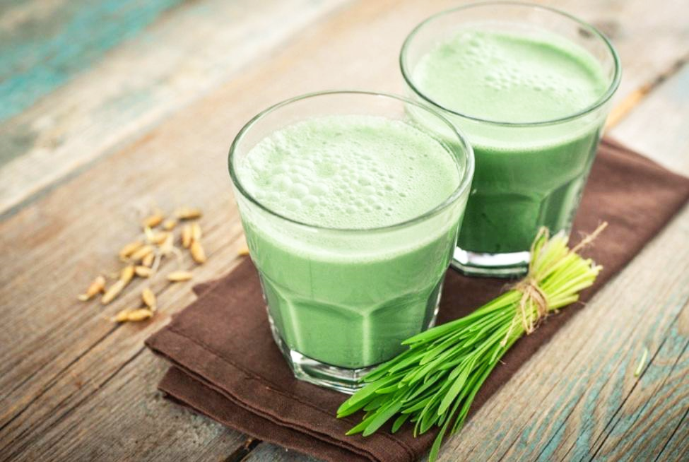 새싹보리 해독주스