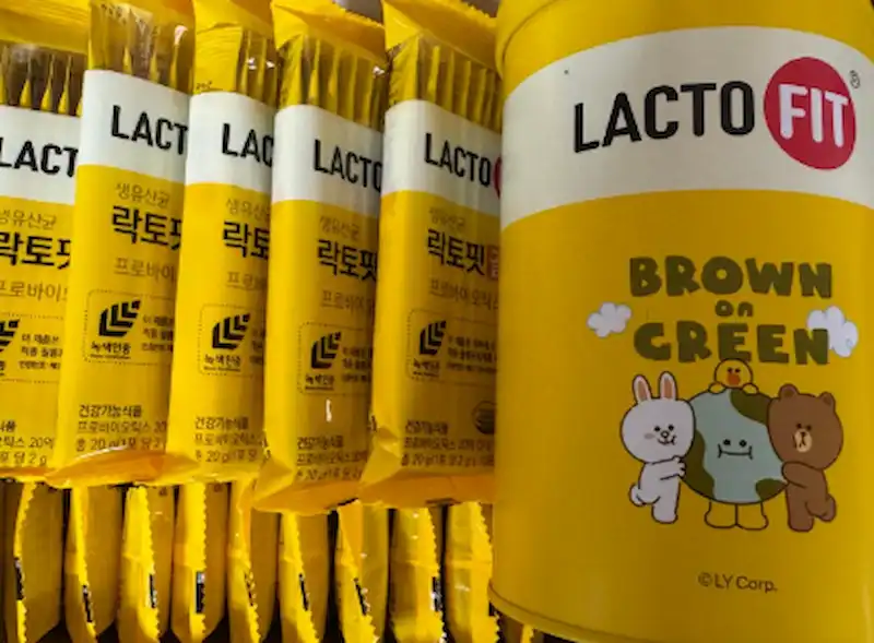 임산부가 먹어도 되는 직접 구매한 락토핏 골드