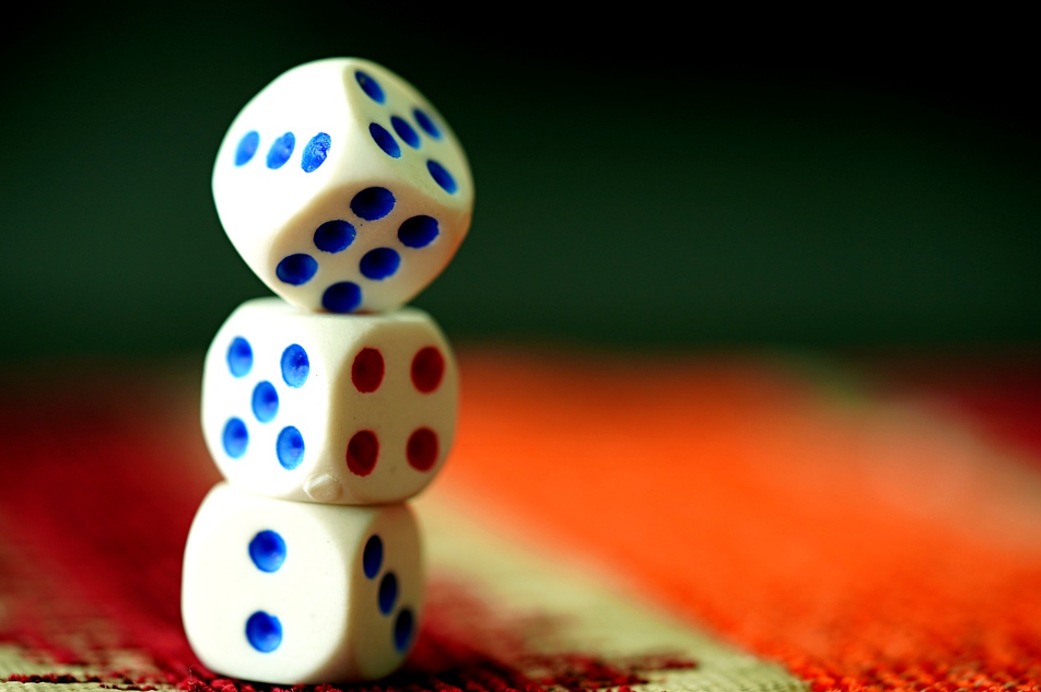 카피바라 Go 쿠폰 다운로드 및 입력 방법 (+공식 카페, 푸시 알람, 무기 및 펫 티어표)