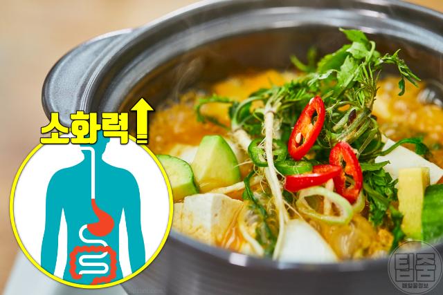 달래 효능 소화불량 소화제