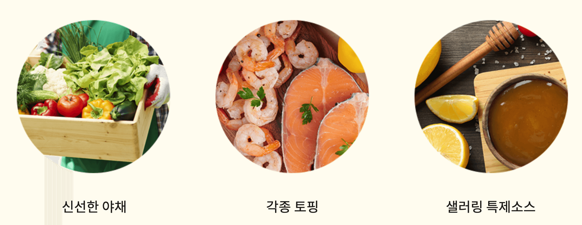 샐러링 창업 소개