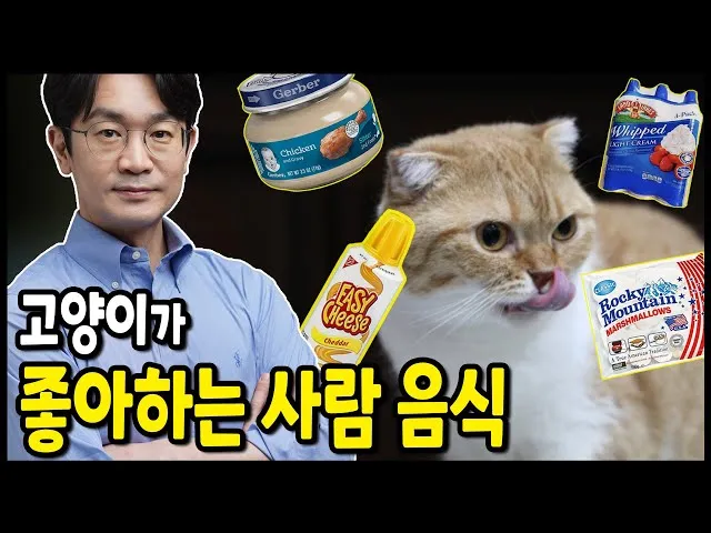 &amp;quot;고양이
