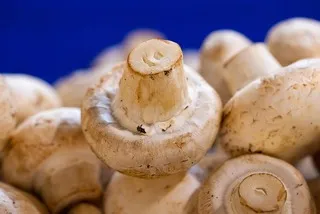 온누리상품권 사용처 및 온라인 확인방법