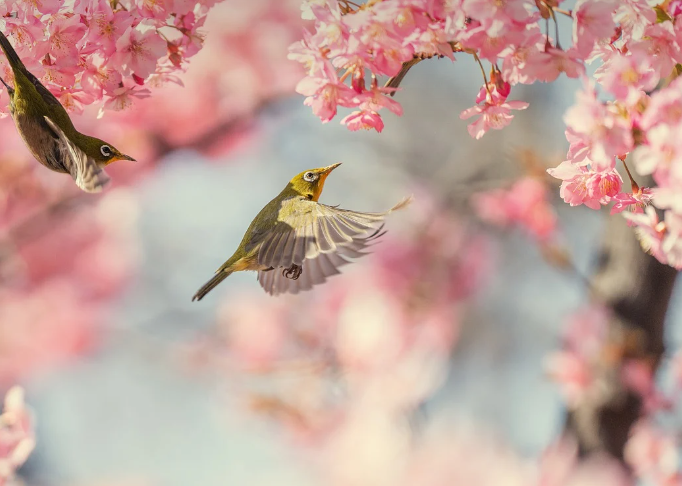 9월에 여행하기 좋은 나라