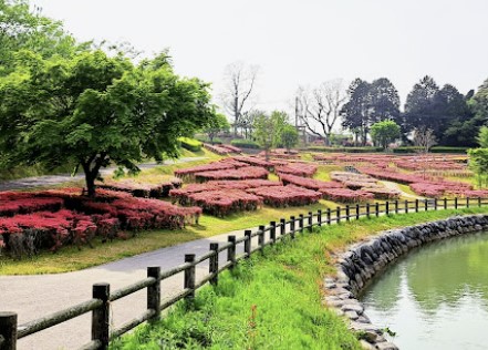 이토시마-버스투어-혼자