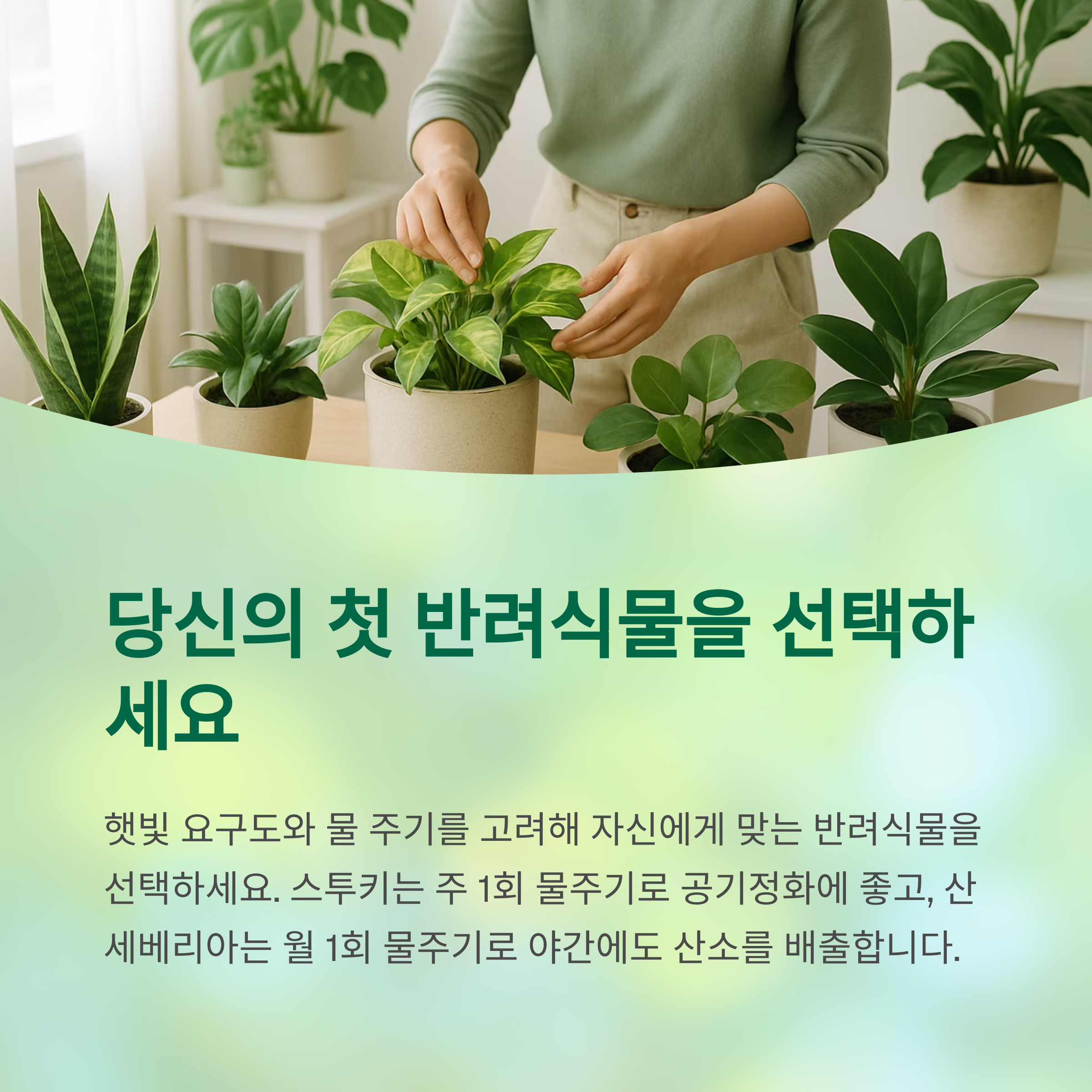 당신의 첫 반려 식물을 선택하세요