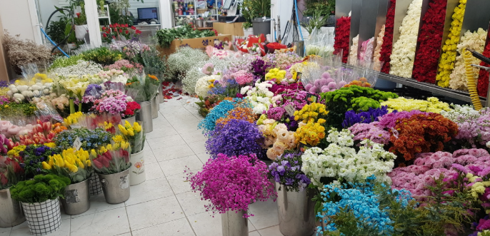 생생정보 백송이 꽃다발 전문 이벤트 프로포즈 기념일 서울 성동구 백송이전문점