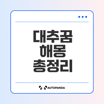 대추 꿈 해몽 총정리
