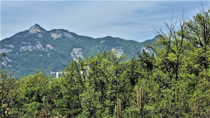 우뚝 솟은 불암산