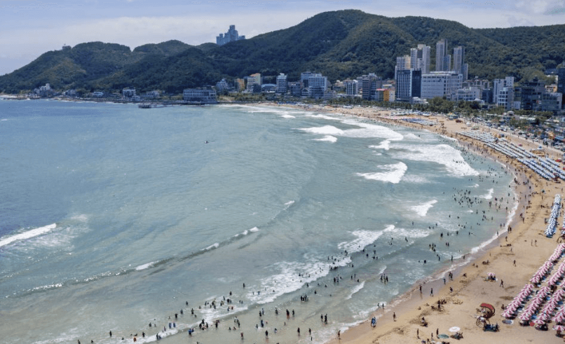 해수욕장 개장일정